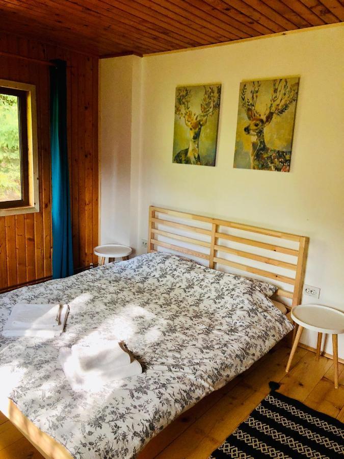 Conacul Secaria Villa Luaran gambar